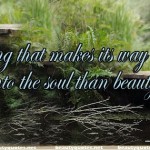 beauty quotes, Directly into the soul than beauty quotes