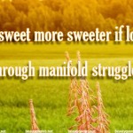 Success is sweet more sweeter if long delayed and attained through manifold struggles and defeats.